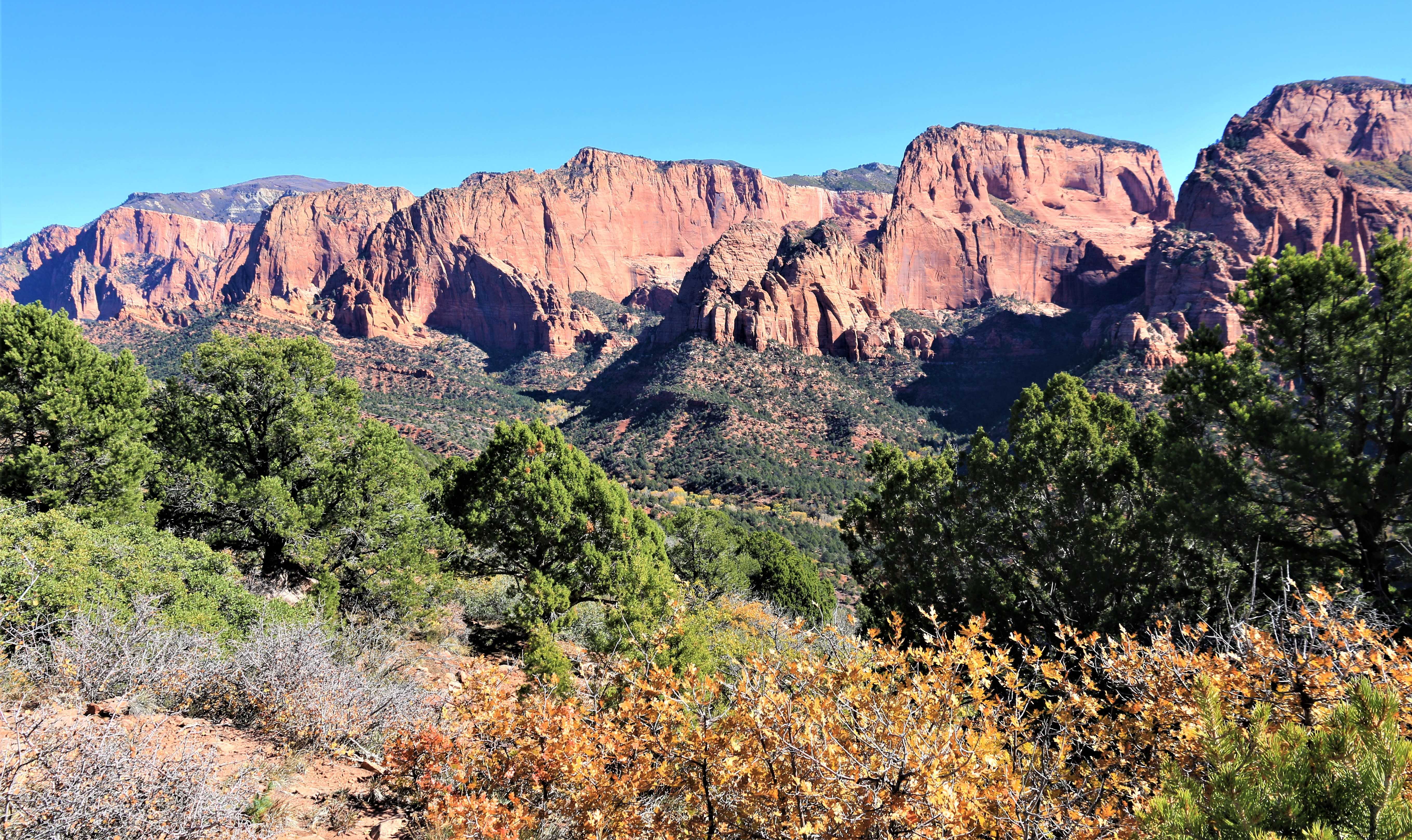 Zion NP
